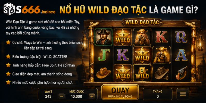 Giới thiệu game Nổ Hũ Wild Đạo Tặc