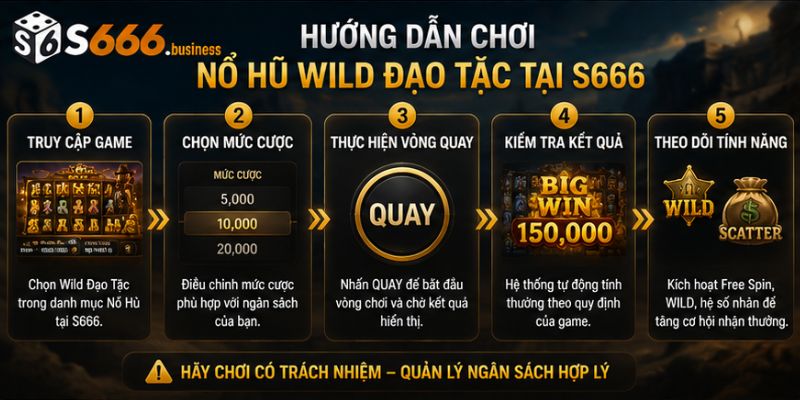 Hướng dẫn chơi Nổ Hũ Wild Đạo Tặc tại S666