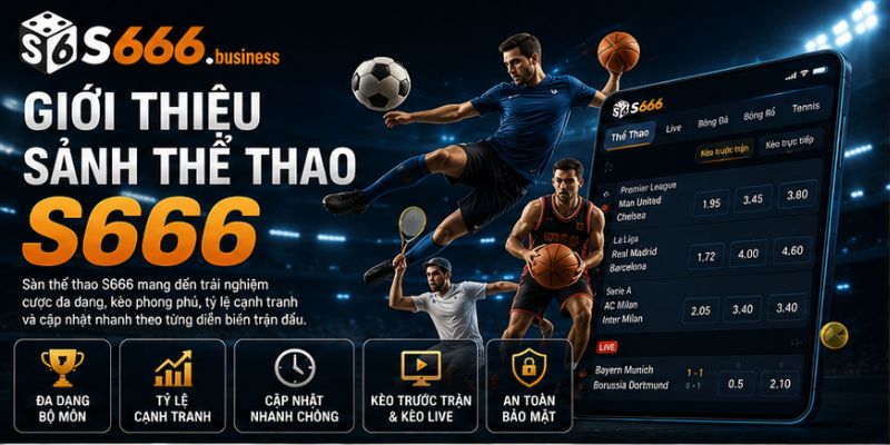 Giới thiệu sảnh thể thao S666